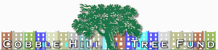 Cobble Hill Tree Fund est. 1981 A Tree does grow in Brooklyn. 